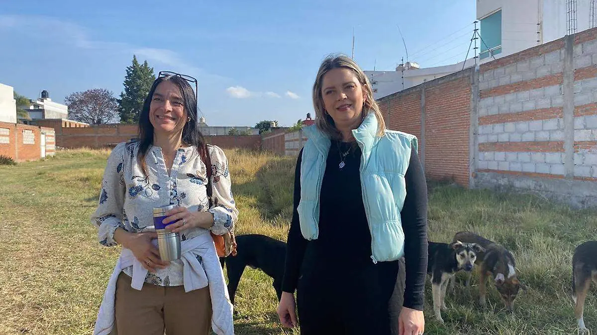 El caso de “bobby” un perrito que deambulaba por la calle con una papita rota  hizo que Sigried Peralta Langholz y Cecilia Chapa unieran esfuerzos